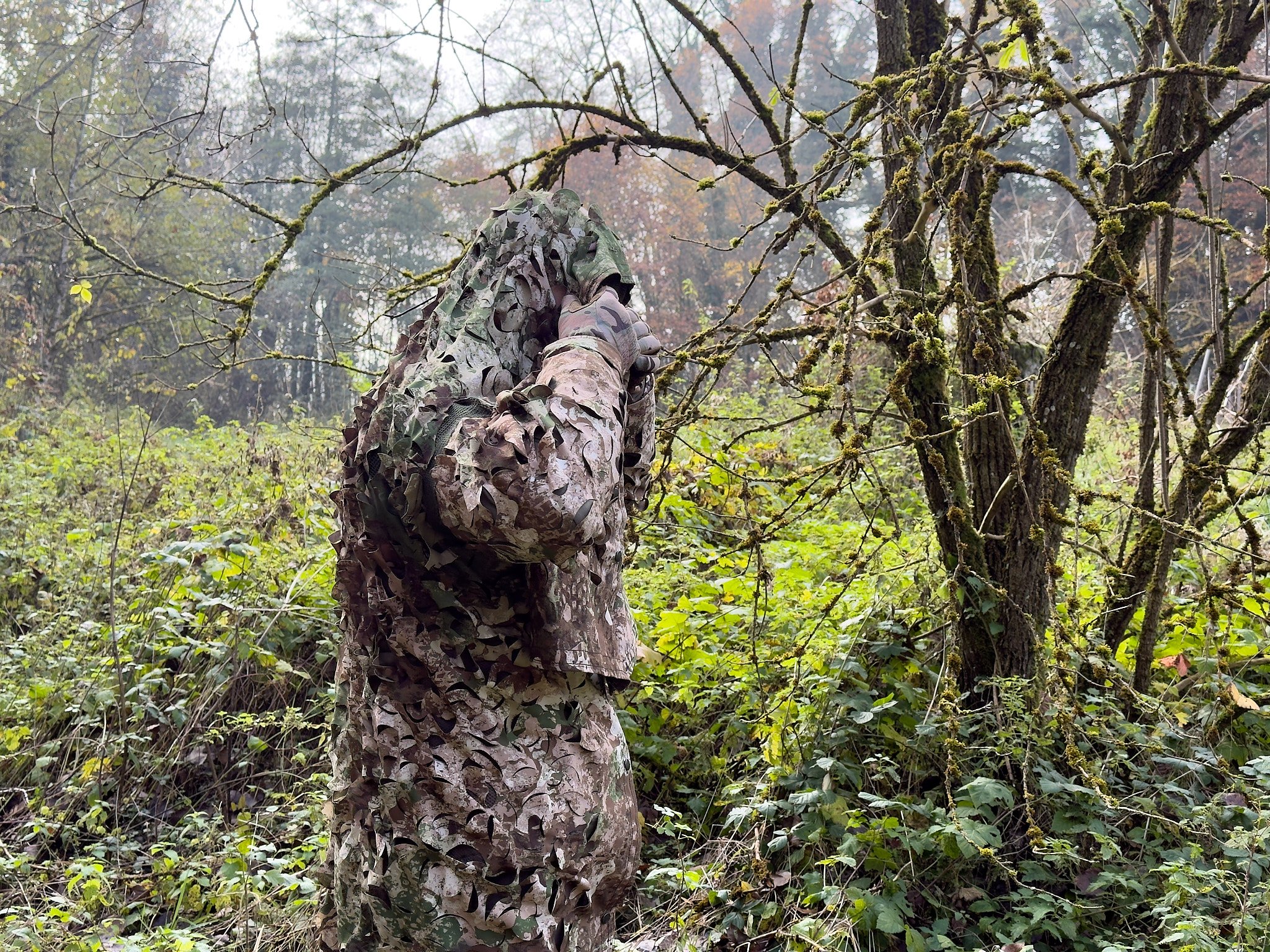 Symbiose 3D camouflage