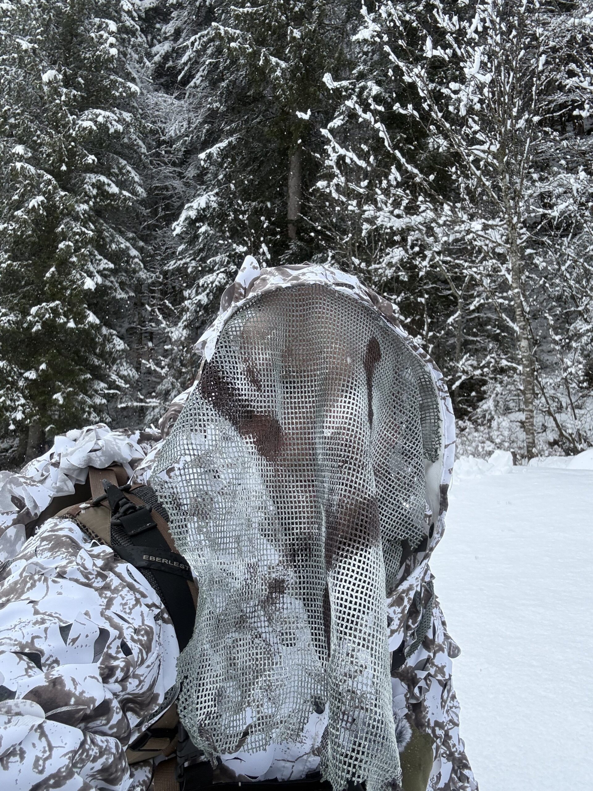 Symbiose 3D camouflage