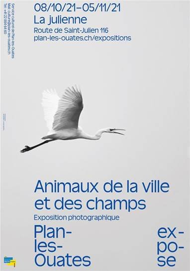 EXPOSITION "ANIMAUX DE LA VILLE ET DES CHAMPS" 2021